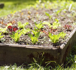 氯溴異氰尿酸廠(chǎng)家-煙霧劑批發(fā)-河南豐之源農(nóng)作物保護(hù)有限公司