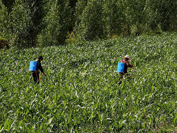 氯溴異氰尿酸案例